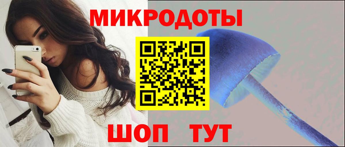 Клин  Псилоцибиновые грибы прущие грибы  Галлюциногенные грибы MAGIC MUSHROOMS  Вход с VPN 