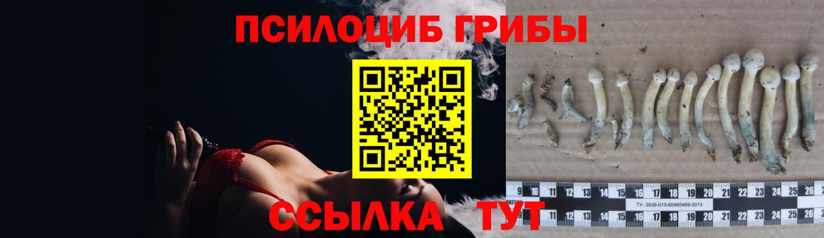 Псилоцибиновые грибы ЛСД Клин